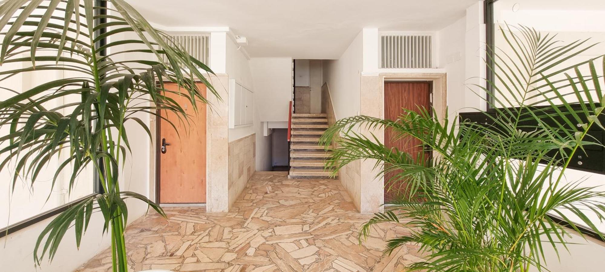 Bnb Israel Apartments - Harav Kook Lilas Tel Aviv Eksteriør billede